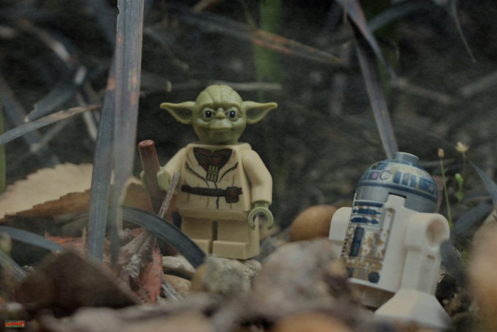 Brick Pic of the Day: Dagobah days