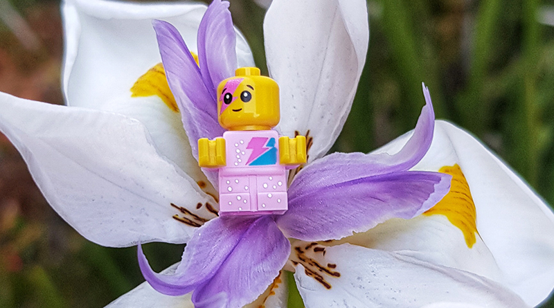 Brick Pic of the Day: How Sparkle Babies are born