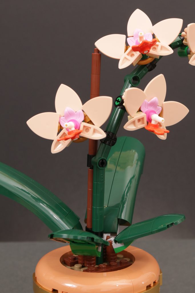 LEGO Botanicals 10343 Mini Orchid and 10344 Lucky Bamboo review 15 683x1024