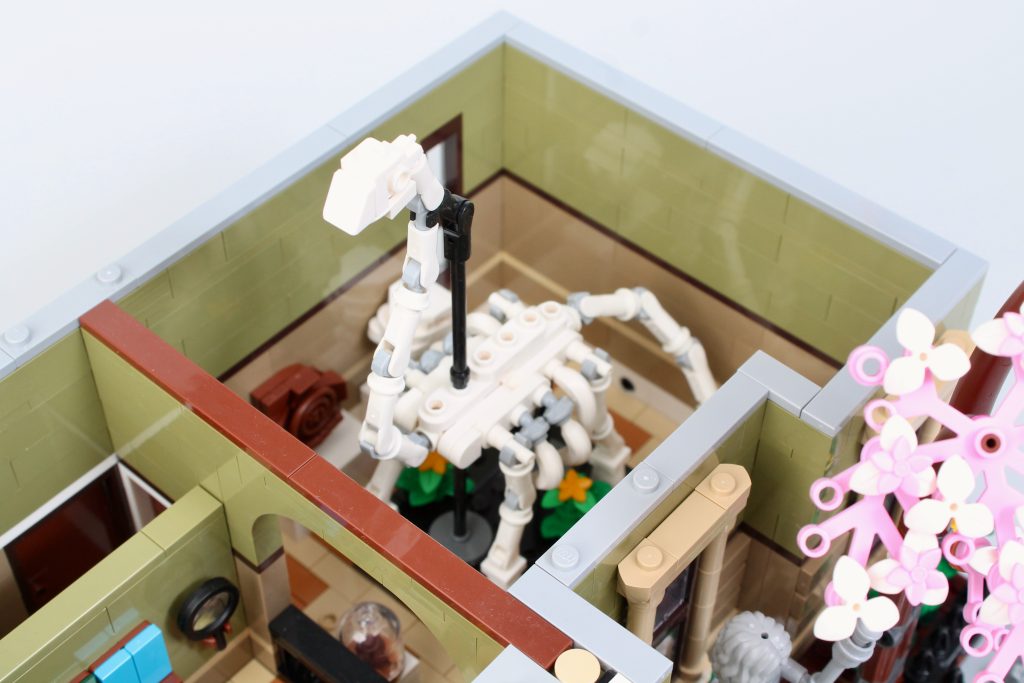LEGO Icons 10326 Natural History Museum review 28 1024x683