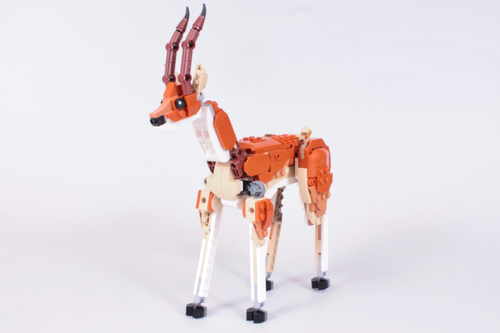 LEGO Creator 3 in 1 31150 Wild Safari Animals review 23 1024x683