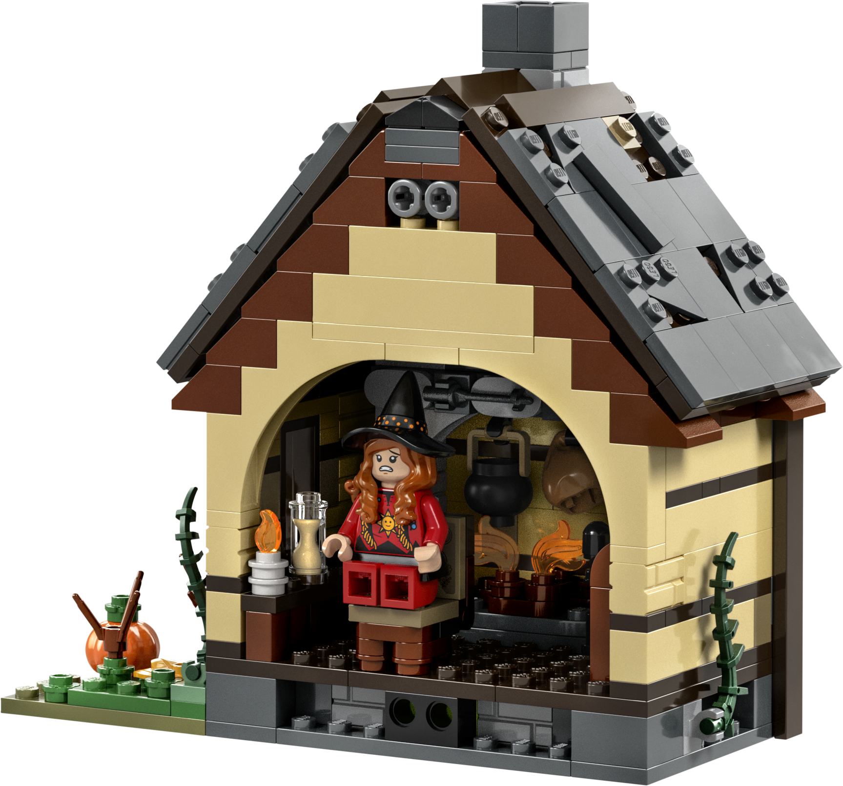 LEGO Ideas 21341 Hocus Pocus – The Sanderson Sisters Cottage contents 11