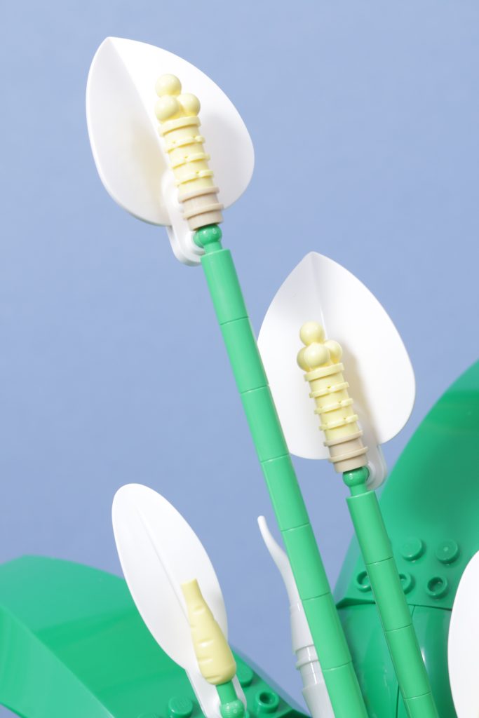 LEGO Botanicals 11501 Tulip Bouquet 11509 Flowering Cactus 11508 Daisies 11504 Peace Lily review 17 683x1024