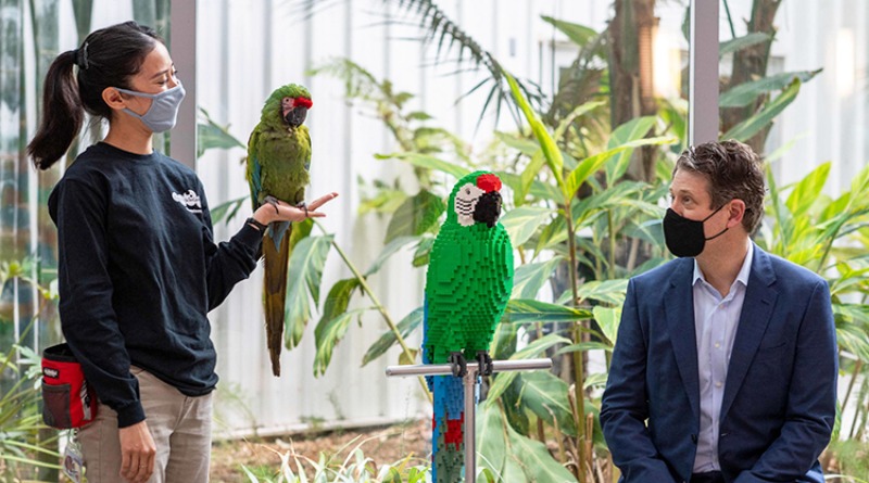 Brick-built endangered animals preserved in a special LEGO exhibition