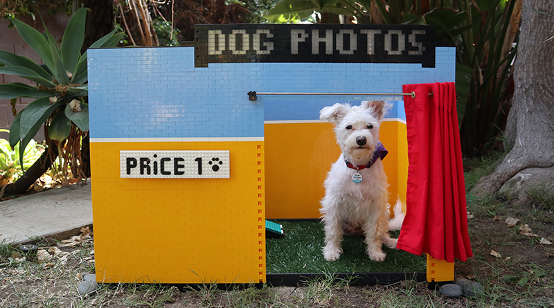 Dog selfie booth is the best LEGO MINDSTORMS invention ever