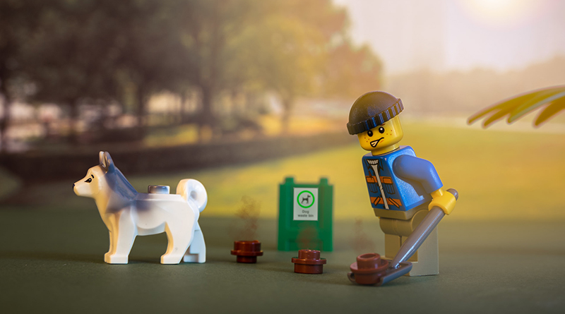 Brick Pic of the Day: Dog life