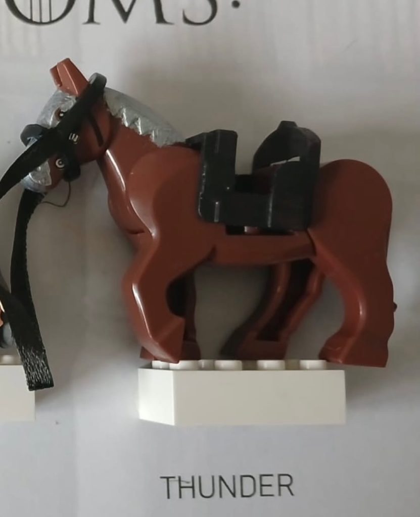 DEXTER SOL ANSELL INSTAGRAM LEGO A Knight of the Seven Kingdoms gifts 5 831x1024
